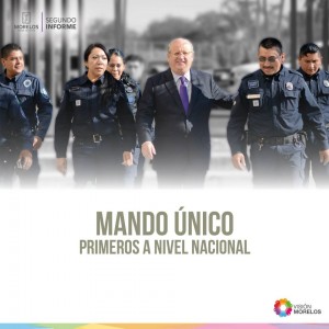 mando unico