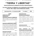 Limitan uso de celular en escuelas públicas y privadas del nivel básico