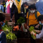 Evaluación del PACIC mayo a julio 2022